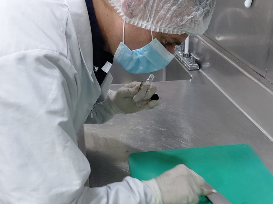 Auxiliar desinfectando una superficie de acero inoxidable